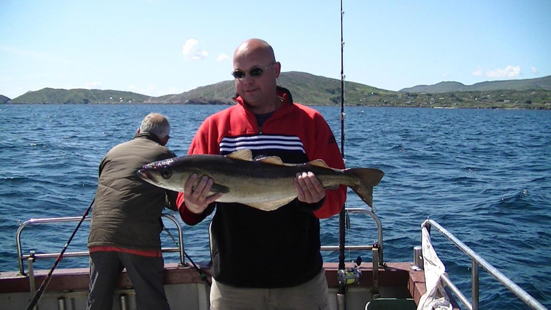 Sneem River Lodge Bed & Breakfast Buitenkant foto
